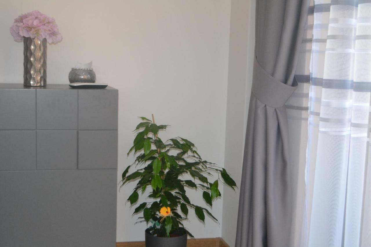 Cosy Ii * Targu Mures